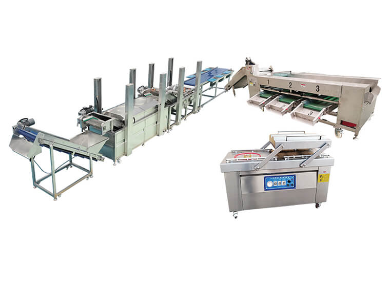 Vegetable washing and packing line